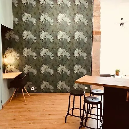 Cocon Avec Jardin * ナント